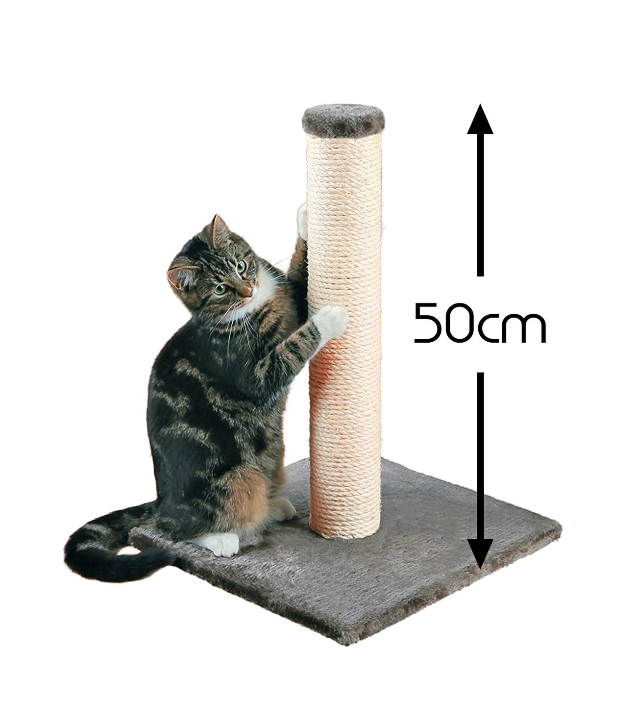 Kedi%20Tırmalama%20Tahtası%20Hasır%2050%20cm%20-%20Karışık%20Renk