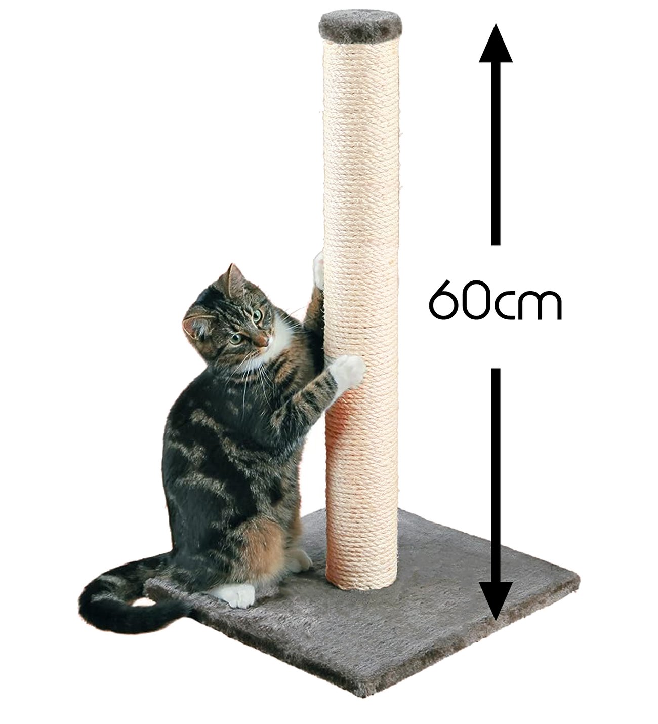 Kedi%20Tırmalama%20Tahtası%20Hasır%2060%20cm%20-%20Karışık%20Renk