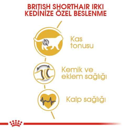 Royal%20Canin%20British%20Shorthair%20Irkına%20Özel%20Kedi%20Maması%202%20Kg