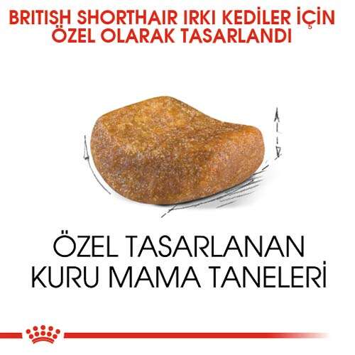 Royal%20Canin%20British%20Shorthair%20Irkına%20Özel%20Kedi%20Maması%202%20Kg