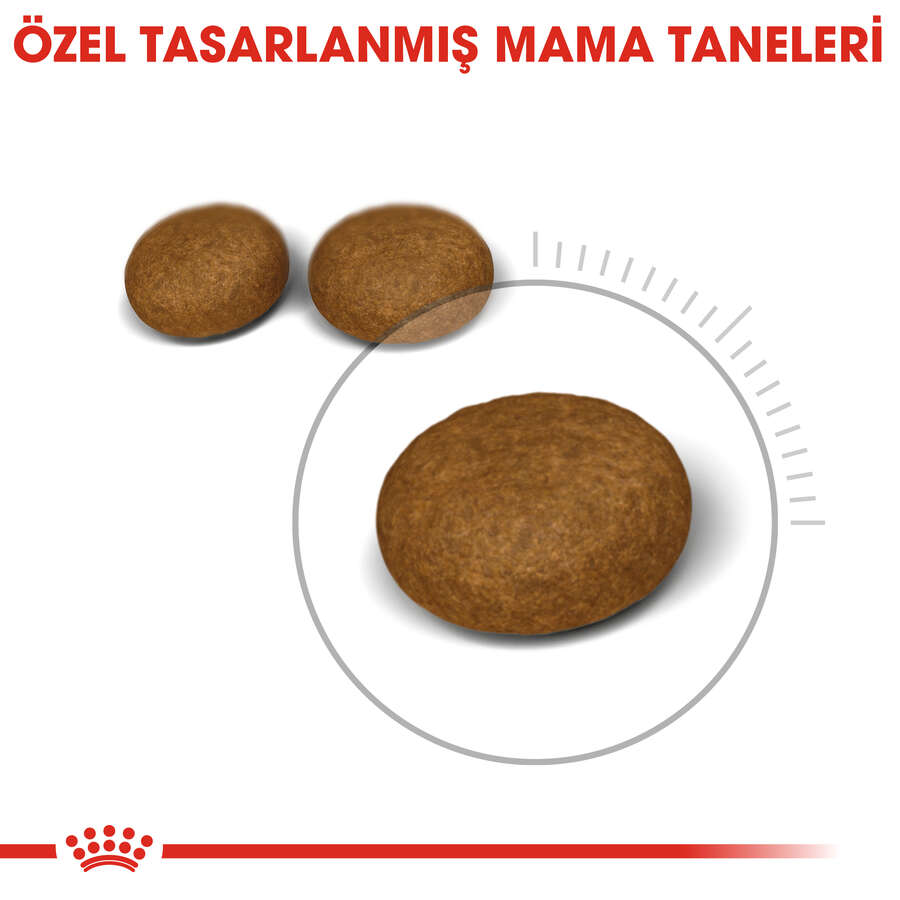 Royal%20Canin%20Hair%20&%20Skin%20Hassas%20Tüylü%20Kedi%20Maması%202%20Kg