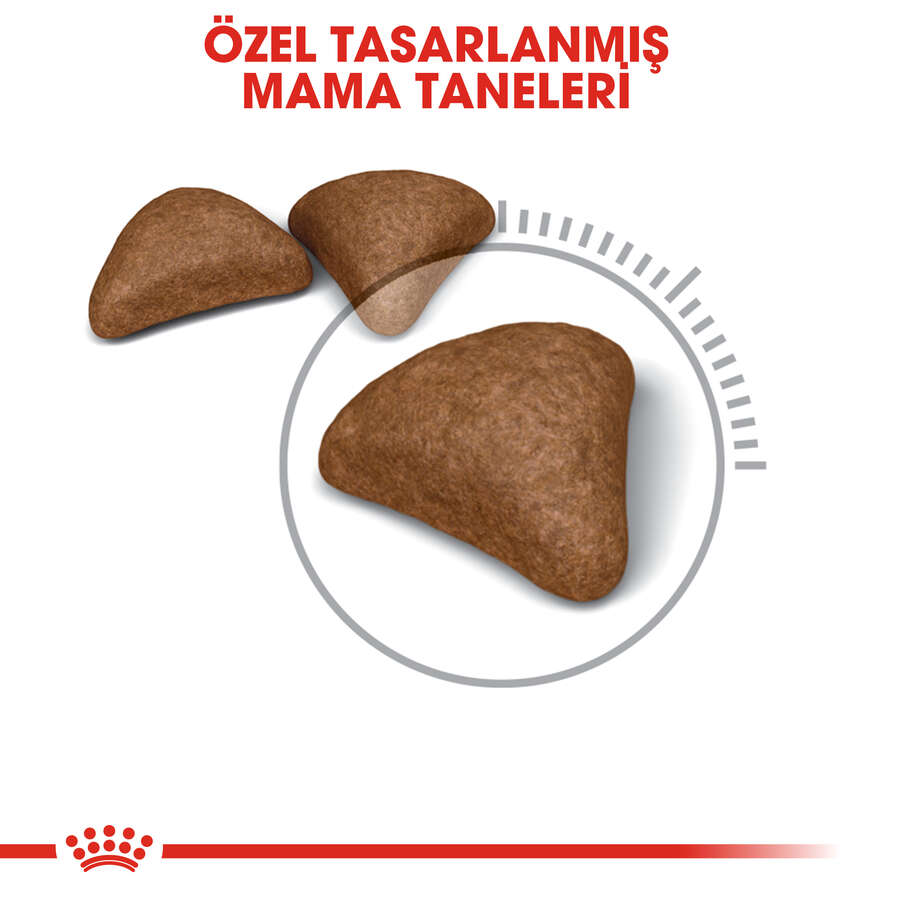 Royal%20Canin%20Hairball%20Tüy%20Yumağı%20Kontrolü%20Kedi%20Maması%202%20Kg