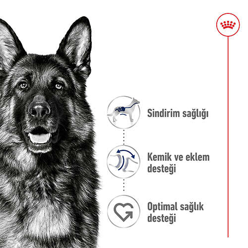 Royal%20Canin%20Maxi%20Adult%20Büyük%20Irk%20Köpek%20Maması%2015%20Kg