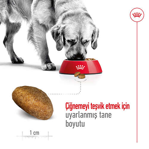 Royal%20Canin%20Maxi%20Adult%20Büyük%20Irk%20Köpek%20Maması%2015%20Kg