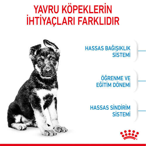 Royal%20Canin%20Maxi%20Puppy%20Büyük%20Irk%20Yavru%20Köpek%20Maması%2015%20Kg