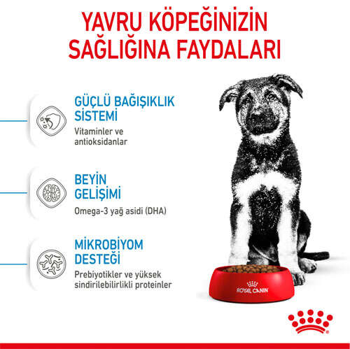 Royal%20Canin%20Maxi%20Puppy%20Büyük%20Irk%20Yavru%20Köpek%20Maması%2015%20Kg