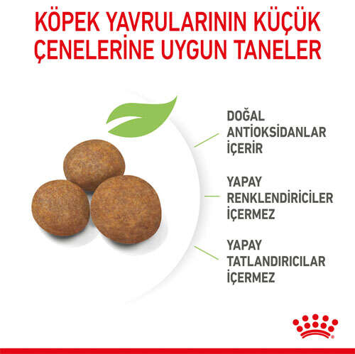 Royal%20Canin%20Maxi%20Puppy%20Büyük%20Irk%20Yavru%20Köpek%20Maması%2015%20Kg