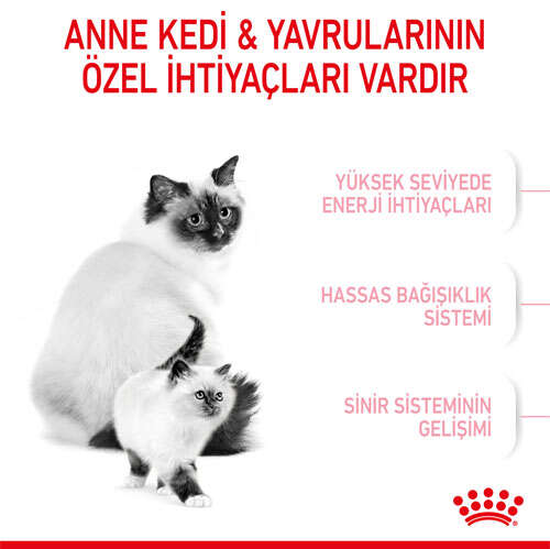 Royal%20Canin%20Mother%20&%20Babycat%20Yavru%20Kedi%20Maması%202%20Kg