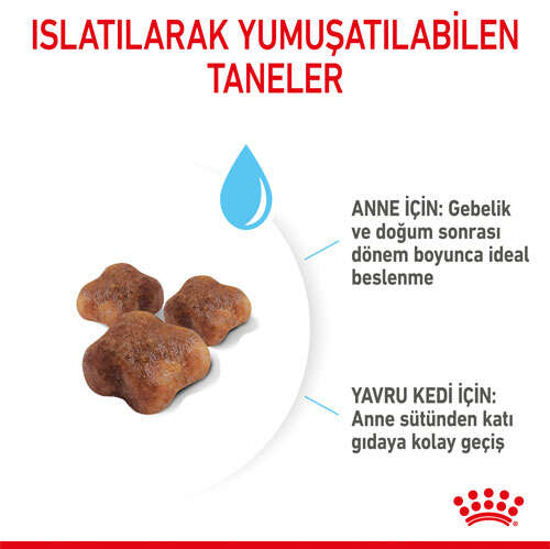 Royal%20Canin%20Mother%20&%20Babycat%20Yavru%20Kedi%20Maması%202%20Kg