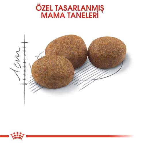 Royal%20Canin%20Sterilised%20Kısırlaştırılmış%20Kedi%20Maması%202%20Kg