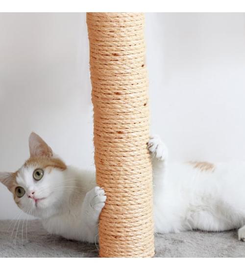 Kedi Tırmalama Tahtası Hasır 80 cm - Karışık Renk