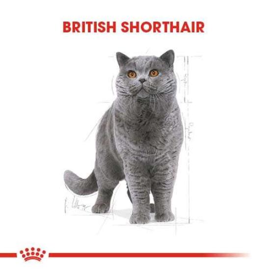Royal Canin British Shorthair Irkına Özel Kedi Maması 2 Kg